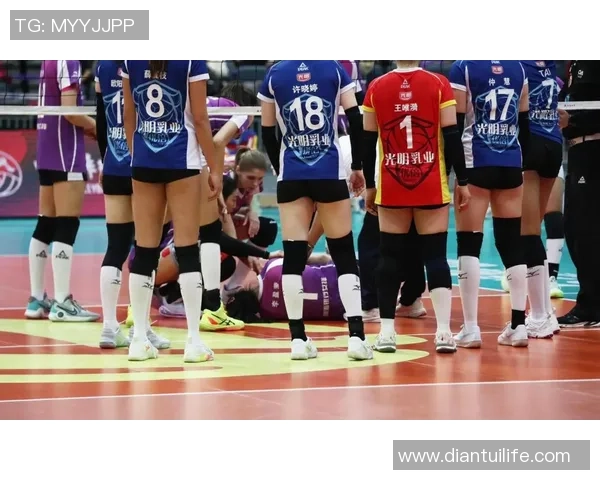 排球实力排行榜揭晓北京排球队荣获第二名展现强劲实力